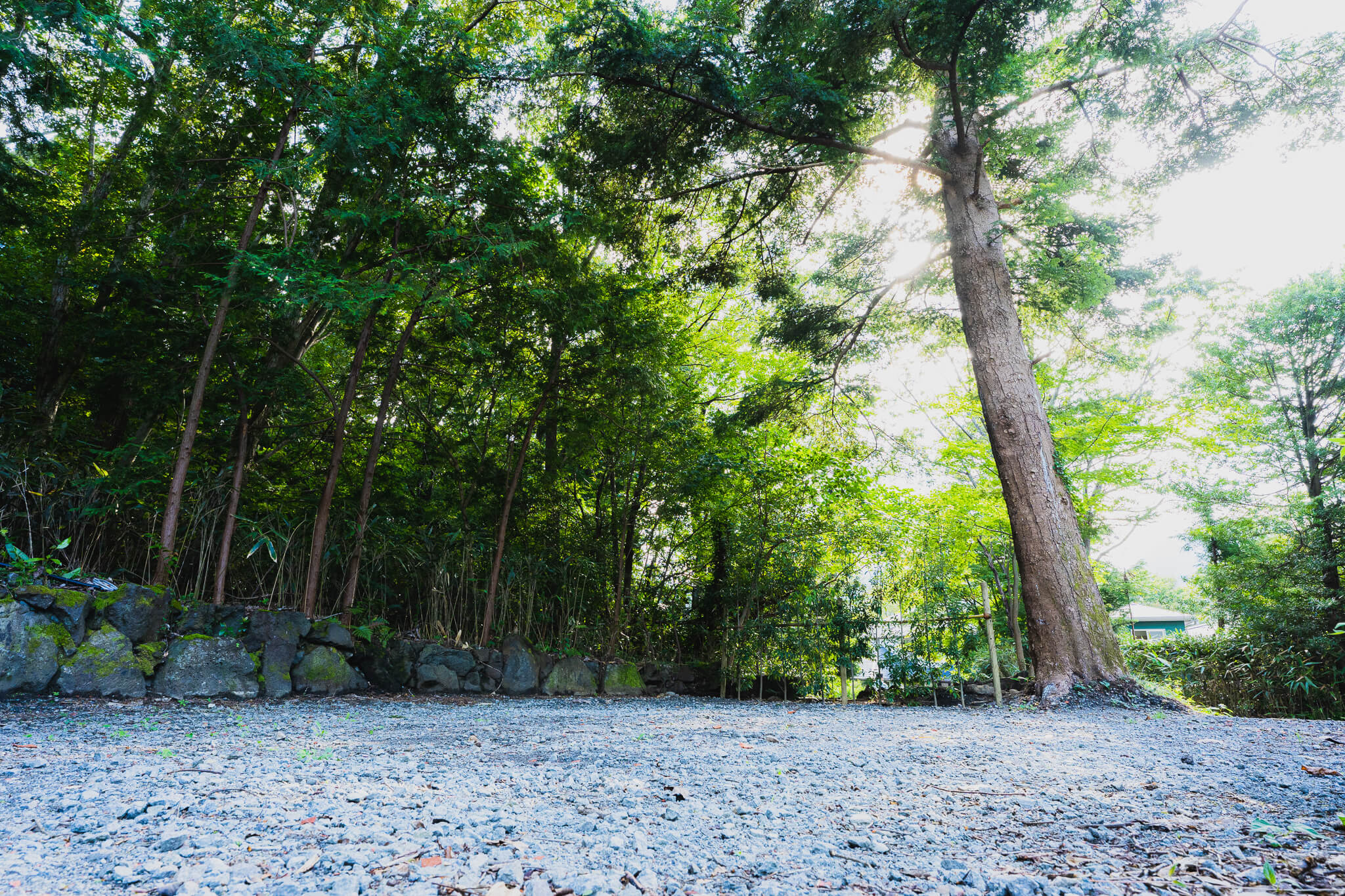 都市では感じられない、壮大な山並みや星の海を目の前にする特別な場所です。自然と共に過ごすエコフレンドリーなアウトドア体験をご堪能ください。