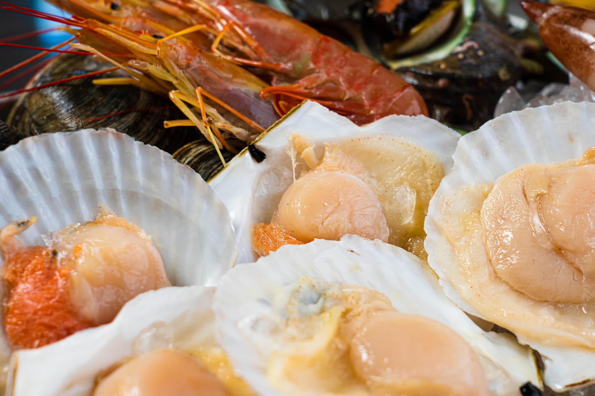 ホタテやサザエはフツフツ煮立つ頃には思わず目を閉じて香りだけを楽しみたくなります。新鮮さゆえに楽しめる身の食感も、身を食べた後の出汁もそのままで十分おいしくいただけます。美味しすぎて食べるのに夢中になり、会話がなくなってしまうかもしれません。"