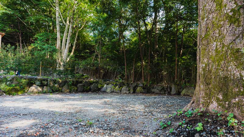 テント Mサイト